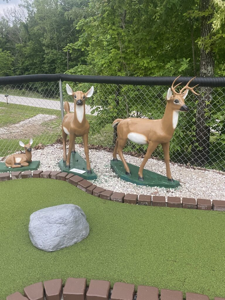 Quest Mini Golf