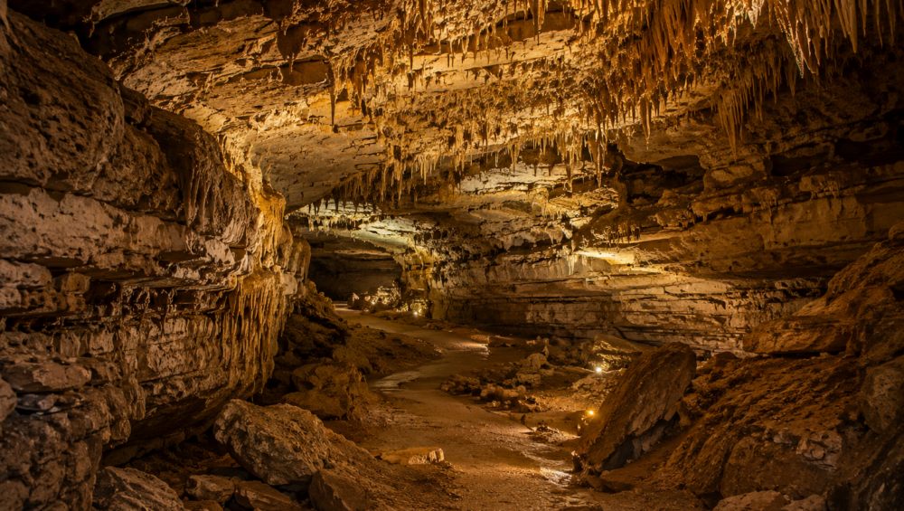 Best RV Parks Near Mammoth Cave National Park