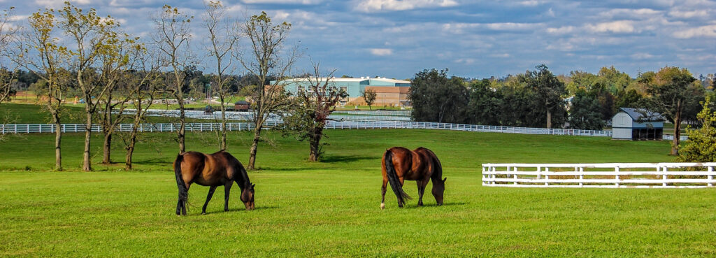 Why Swing By Quest RV Park On Your Way To Horse Country