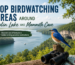 Top Birdwatching Areas Around Nolin Lake and Mammoth Cave